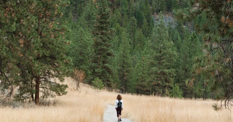 Quel matériel pour un été sauvage en Vanoise ? Retour d'expérience