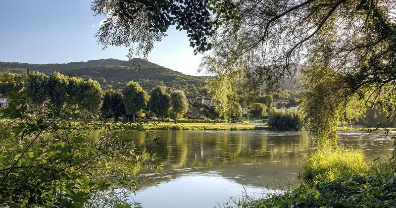Pédaler doucement le long de la Loire : le guide du slow tourisme à vélo